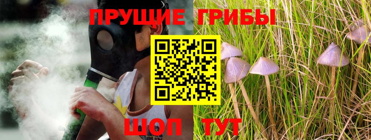 Спасск-Дальний  Галлюциногенные грибы Psilocybine cubensis  Вход с VPN 