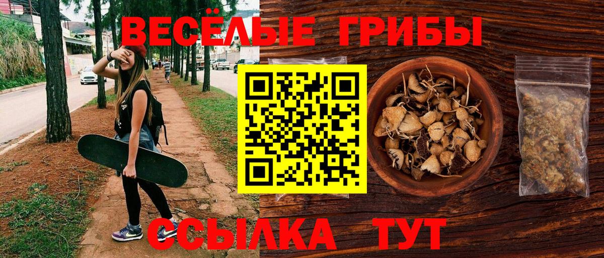 Галлюциногенные грибы Psilocybe Спасск-Дальний